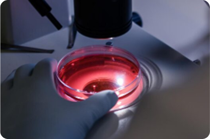 Phacoemulsification Unit with High-Precision IOLs for cataract surgery